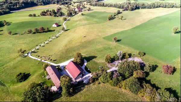 Exceptional property with a 360° view of Lake Geneva and the Geneva basin