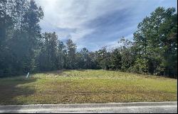 Lot 116 Marsh Oaks Drive, Waverly GA 31565