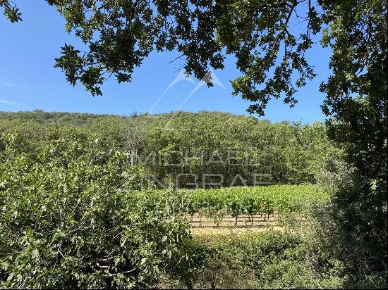 OPPORTUNITY TO SEIZE! - VINEYARD PROPERTY GULF OF SAINT-TROPEZ