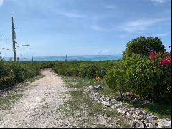 Edgecombe Tract, Parcel B - MLS 55054