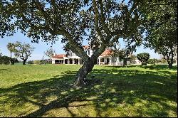 Farm, 10 bedrooms, for Sale