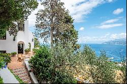 Villa Luisella in the heart of Capri