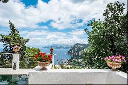 Villa Luisa - grand estate in the heart of Capri