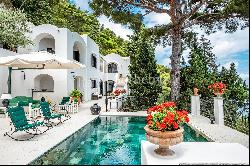 Villa Luisa - grand estate in the heart of Capri