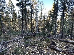 Lot 6 Lakewood Way, Angel Fire NM 87710