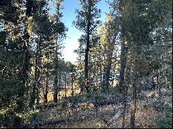 Lot 6 Lakewood Way, Angel Fire NM 87710