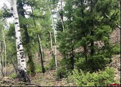 Lot 65 Red Mountain Road, Lake City CO 81235