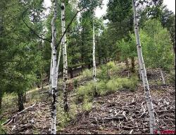 Lot 65 Red Mountain Road, Lake City CO 81235