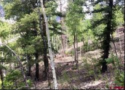 65 Red Mountain Road, Lake City CO 81235
