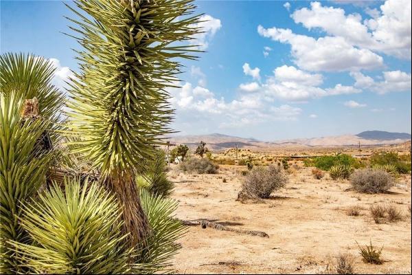 Pioneertown