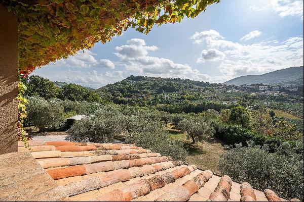 Elegant property surrounded by olive trees