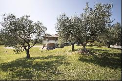 Private Villa for sale in Viterbo (Italy)