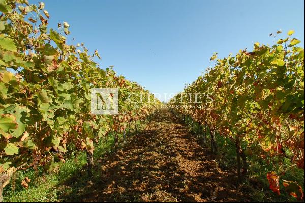 Beautiful vineyard with 19th-C. château overlooking the river for sale - Ideal for a wine
