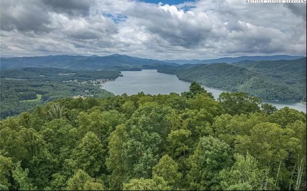 Tbd Lakeview Drive, Butler TN 37640