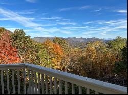 425 Turkey Run, Bryson City NC 28713