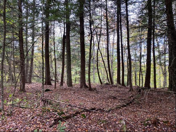 Private Acreage Backing Up to New York State Lands