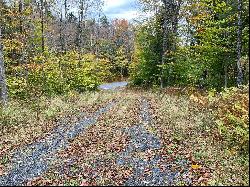 Private Acreage Backing Up to New York State Lands