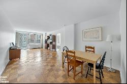 305 EAST 24TH STREET 15F in Gramercy Park, New York