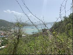 Brady Ghut, Tortola, British Virgin Islands