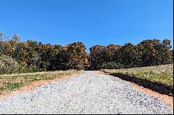 Wooded 4 +/- Acre Lot - Bring Your Builder or Plans