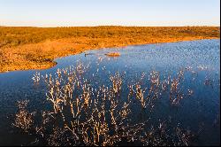 Celebrated Quail and White-tailed Deer Hunting Ranch