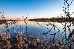 Celebrated Quail and White-tailed Deer Hunting Ranch