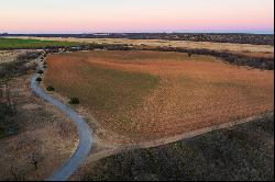 Celebrated Quail and White-tailed Deer Hunting Ranch