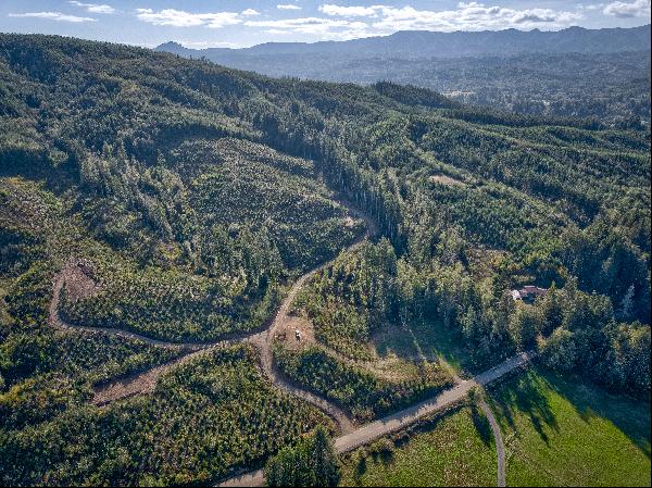 Tract 1 South Valley Rd, Naselle, WA 98638