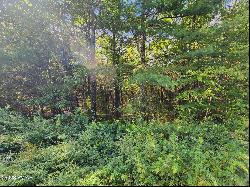 Lot 49 Skyline Drive, Milford PA 18337