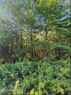 Lot 49 Skyline Drive, Milford PA 18337