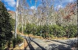 LOT 361 Wildflower Drive, Franklin NC 28734