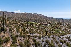 Saguaro Forest 338