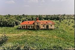 Poenaru Mansion