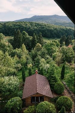 Self-sustainable energy and amazing nature at the edge of the forest