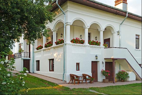 Radu Iliescu Manor, a neo-romanian jewel ready-to-use