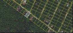 Lot 50 Westside Dr, Newfoundland PA 18445