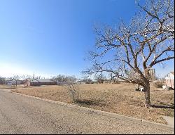 312 Gaines Avenue, Tulia TX 79088