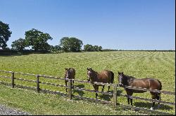 Gazeley Stud, Gazeley, Newmarket, Suffolk, CB8 8RA