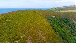 Land At Cosgate Hill, Oare, Lynton, Devon, EX35 6NY