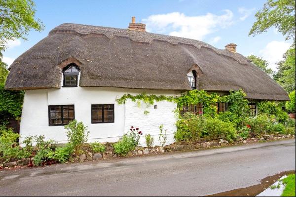 The Thatch, Waithe Lane, Brigsley, Grimsby, DN37 0RJ