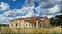 Vineyard, Provence