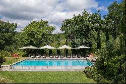 Beautiful farmhouse in the heart of Chianti