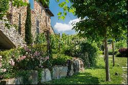 Beautiful farmhouse in the heart of Chianti