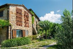 Beautiful farmhouse in the heart of Chianti