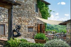 Beautiful farmhouse in the heart of Chianti