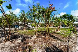 142 Gulfview Drive, Islamorada