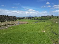 '6 Lots' Tuhingamata Road, Oruanui, Taupo