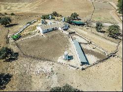 Livestock pasture with farmhouse and stud farm