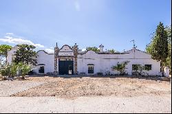 Livestock pasture with farmhouse and stud farm