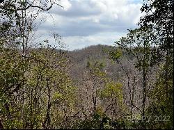 +/- 150 Acres Moondance Trail